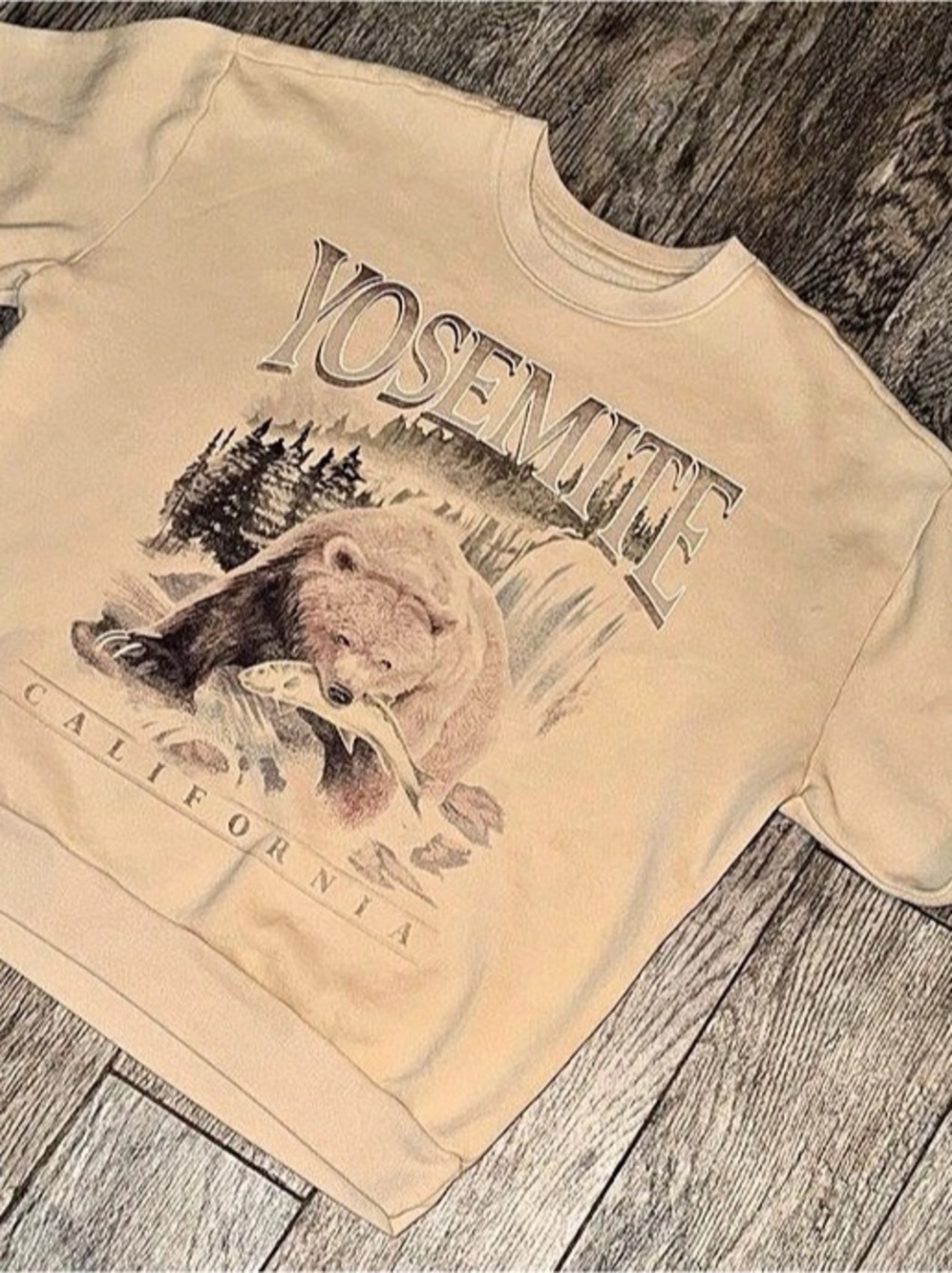 Hollister Yosemite Bear Fishing Graphic Crewneck Sweatshirt XL